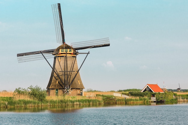 Foto gratuita molinos de viento holandeses tradicionales con hierba verde en primer plano, países bajos