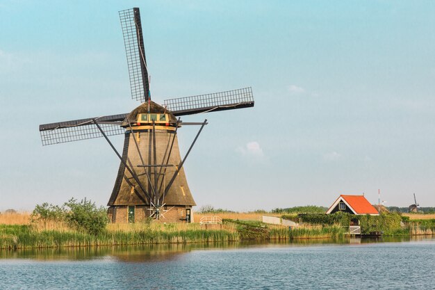 Molinos de viento holandeses tradicionales con hierba verde en primer plano, Países Bajos