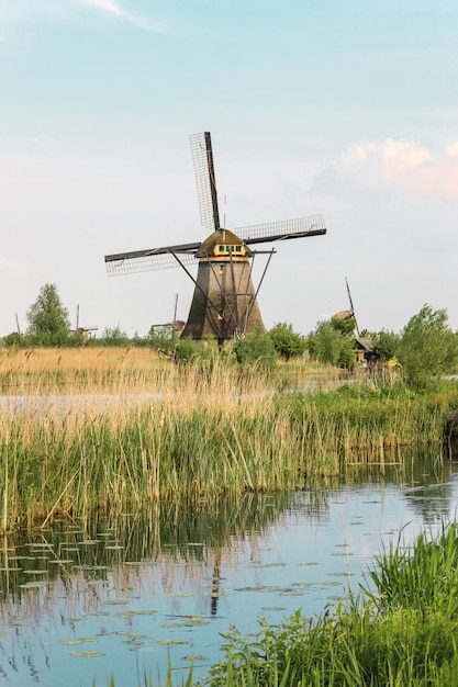 Molinos de viento holandeses tradicionales con hierba verde en primer plano, Países Bajos