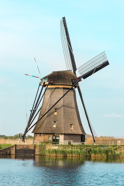 Molinos de viento holandeses tradicionales con hierba verde en primer plano, Países Bajos