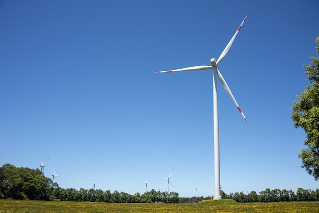 Molinos de viento en una pradera cubierta de hierba en un día soleado