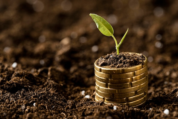 Monedas apiladas sobre tierra con planta y espacio de copia