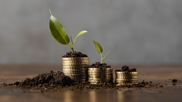 Monedas apiladas con tierra y planta.