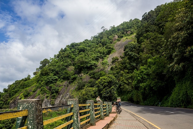 Mono sentado en el lado de una carretera con colina de altura en el fondo