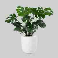 Macetas de terracota grandes: elección perfecta para tu jardín y decoración 2 Macetas de terracota grandes: elección perfecta para tu jardín y decoración