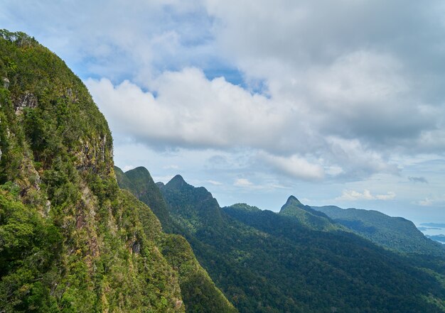 Montaña con árboles y nubes