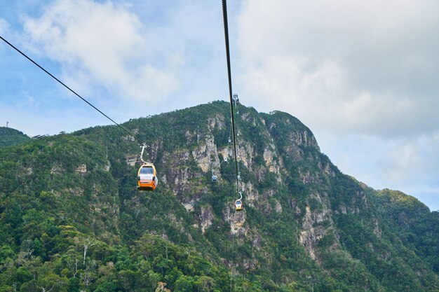 Montaña con arboles y un teleférico