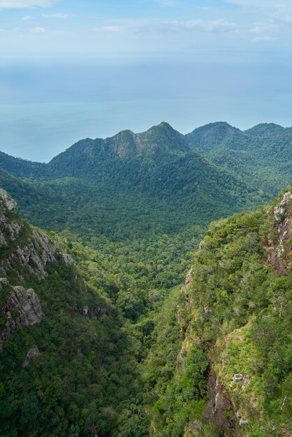 Montaña con árboles vista desde lo alto