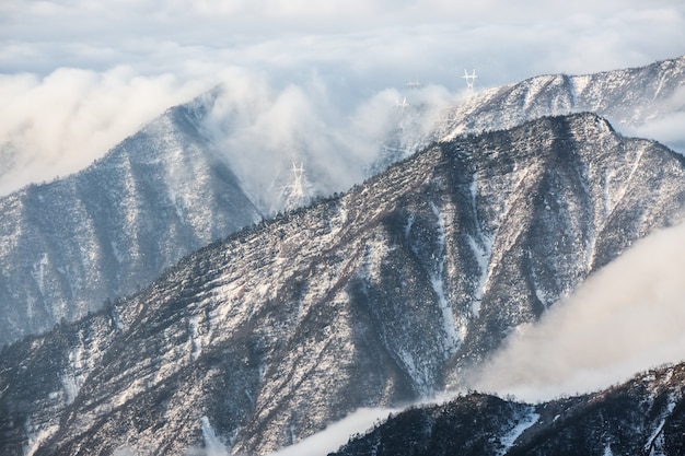 Foto gratuita montaña con árboles