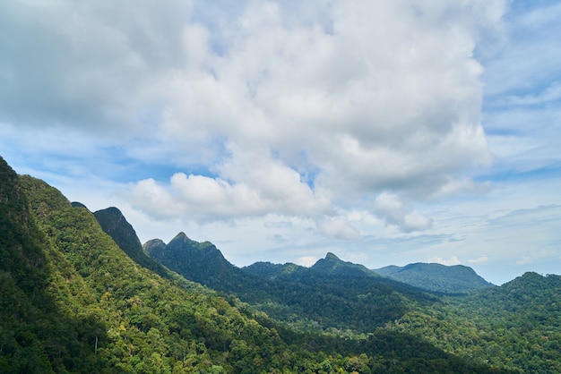 Montaña con árboles