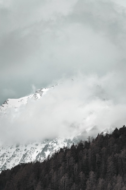 Montaña blanca y negra