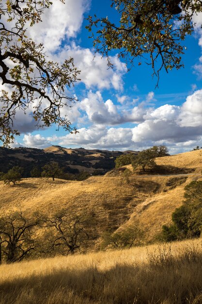 Montaña bajo cielo nublado