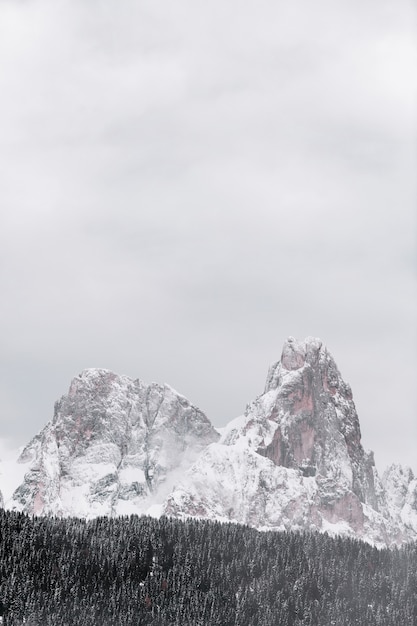 Montaña cubierta de nieve por el bosque durante la temporada de invierno