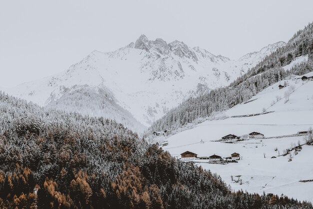 Montaña cubierta de nieve cerca del bosque