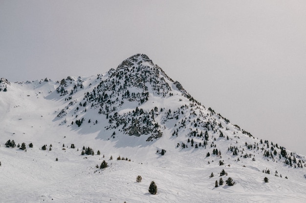 Foto gratuita montaña cubierta de nieve