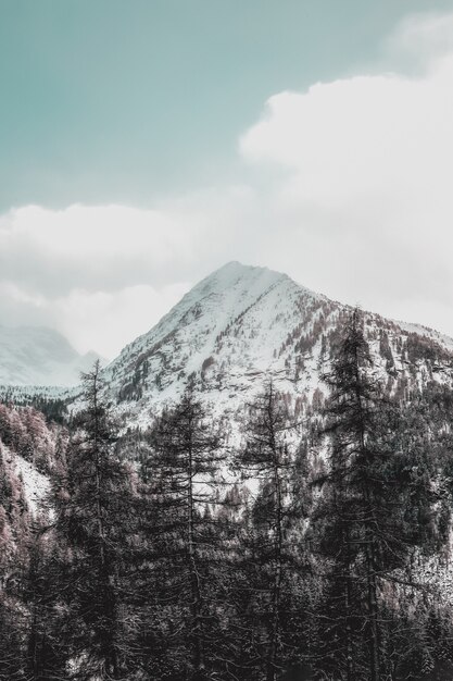 Montaña cubierta de nieve