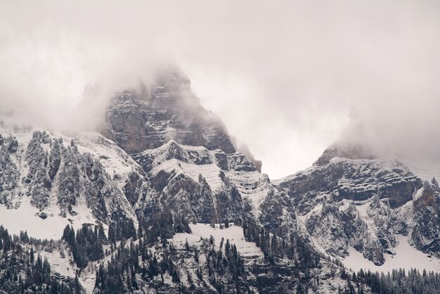 Montaña cubierta de nieve