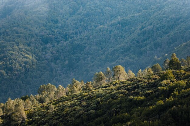 Montaña cubierta de pasto verde durante el día