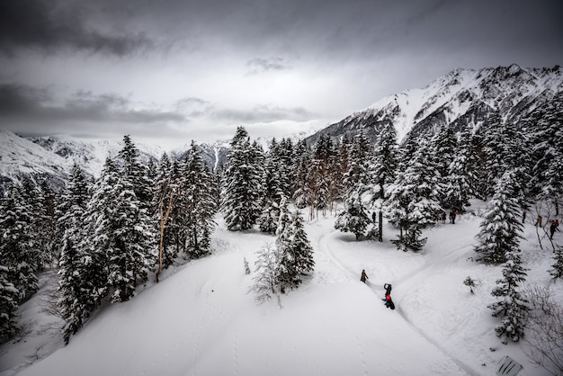 Montaña cubierta de pinos y nieve bajo un cielo nublado