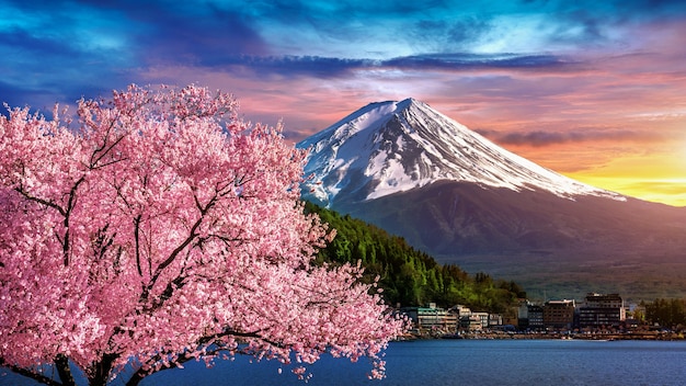 Montaña Fuji y flores de cerezo en primavera, Japón.