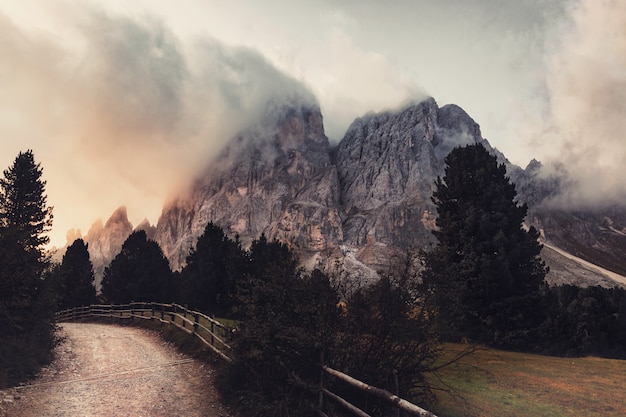 Montaña gris cerca de los árboles