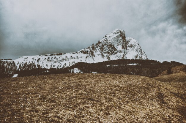 Montaña llena de nieve