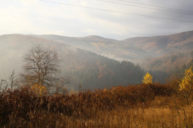 montaña con niebla