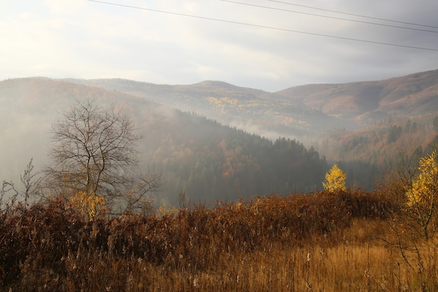 montaña con niebla