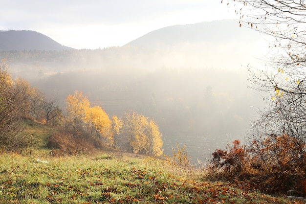 montaña con niebla