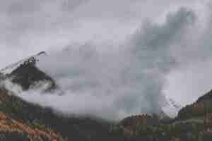 Foto gratuita montaña con niebla