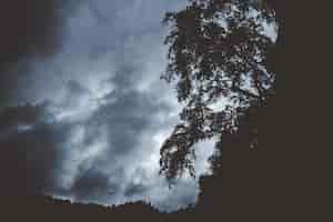 Foto gratuita montaña oscura con siluetas de árboles que crecen en el borde
