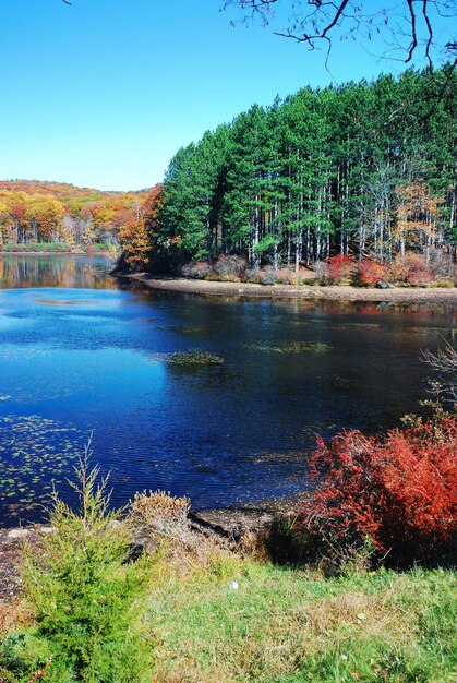 Montaña de otoño con lago