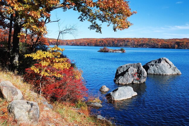 Montaña de otoño con lago