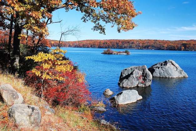 Montaña de otoño con lago