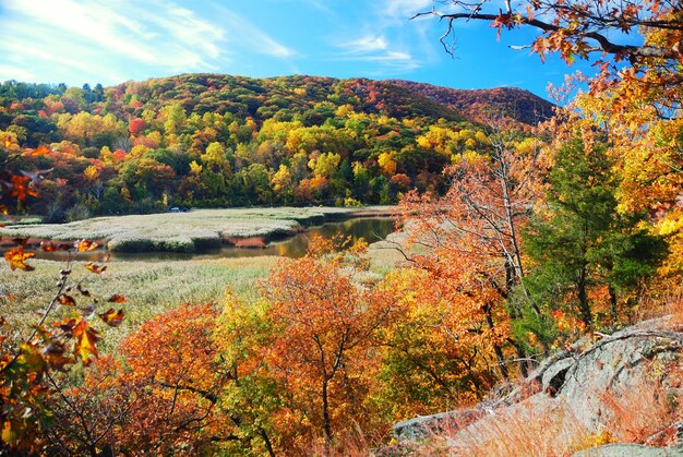 Montaña de otoño con lago