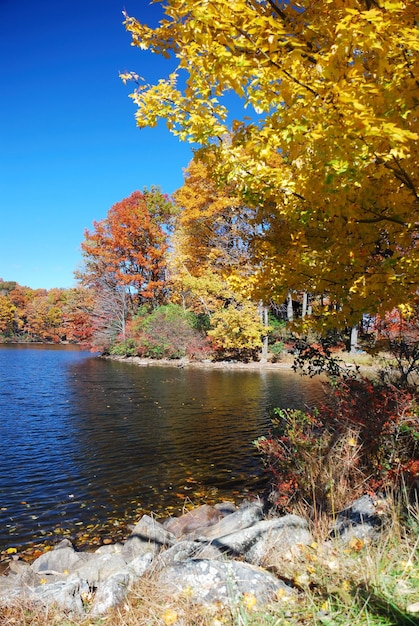 Montaña de otoño con lago