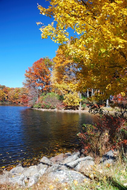 Montaña de otoño con lago