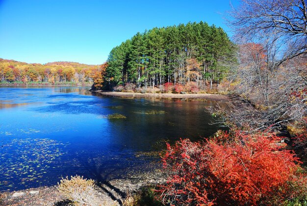 Montaña de otoño con lago