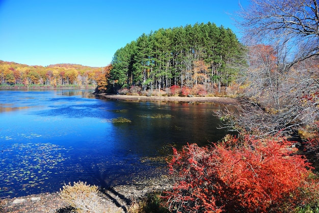 Montaña de otoño con lago