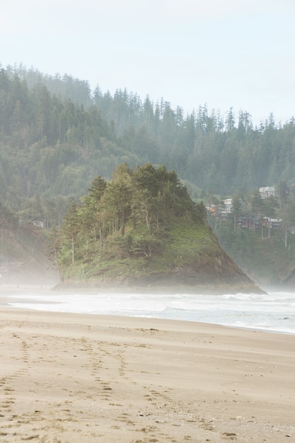 Foto gratuita montaña en una playa