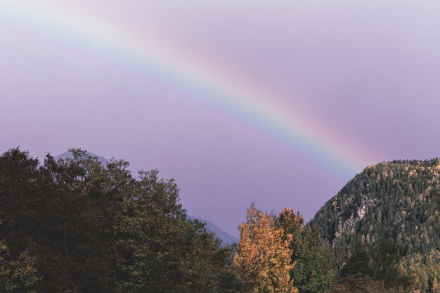 Montaña verde bajo el arco iris