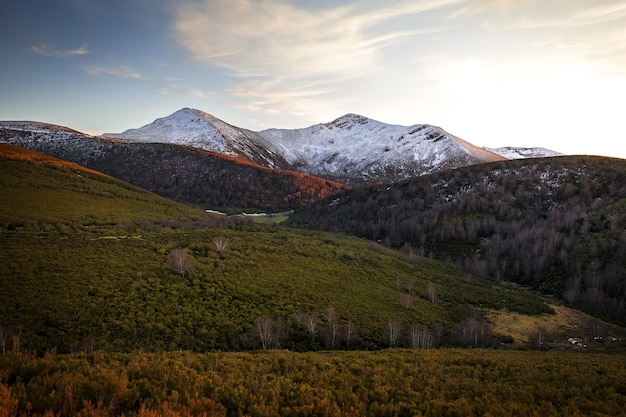 Montañas de Ancares en España rodeadas de árboles y césped