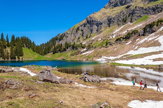 Montañas y árboles rodeados por el lago Lac Lioson en Suiza