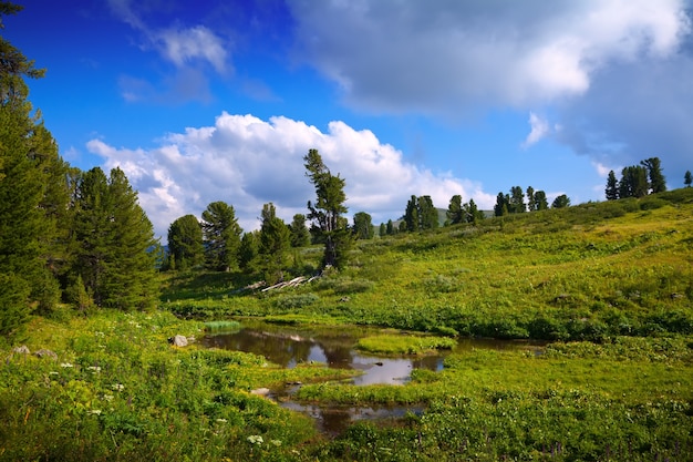 Foto gratuita montañas arroyo en día soleado