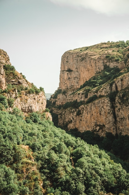 montañas boscosas bajo un cielo nublado