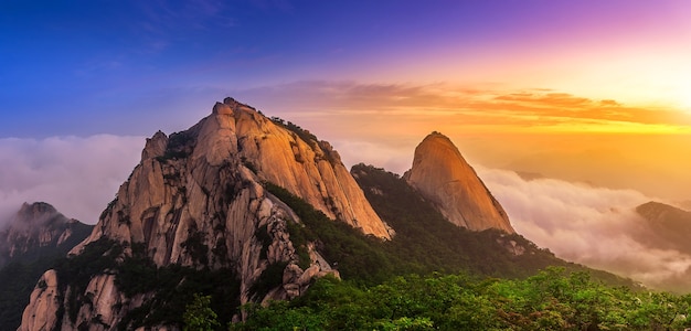 Las montañas de Bukhansan están cubiertas por la niebla de la mañana y el amanecer en Seúl, Corea (tono oscuro).