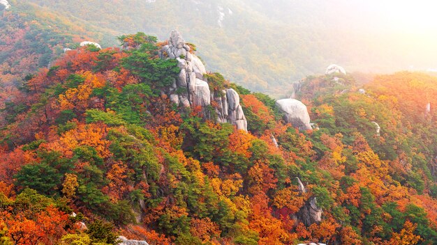 Montañas Bukhansan en otoño, Seúl en Corea del Sur