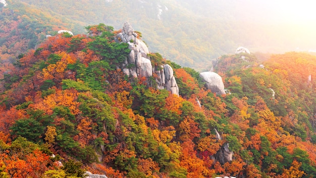 Montañas Bukhansan en otoño, Seúl en Corea del Sur