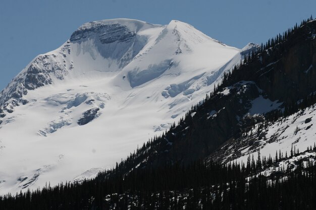 Montañas cubiertas de nieve y árboles en los Parques Nacionales de Banff y Jasper