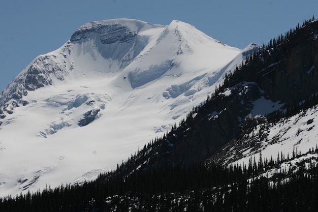 Montañas cubiertas de nieve y árboles en los Parques Nacionales de Banff y Jasper